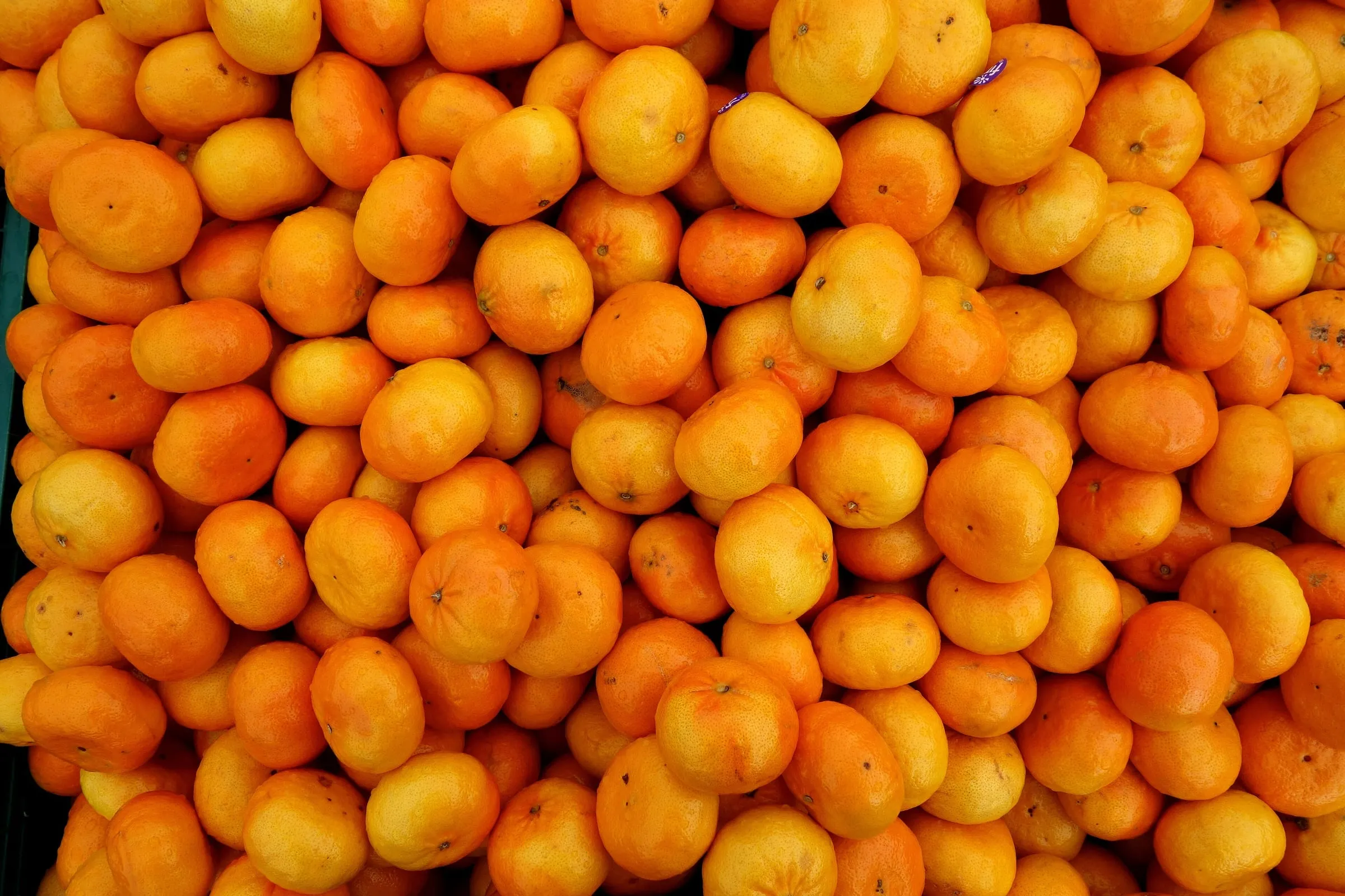 Mandarins